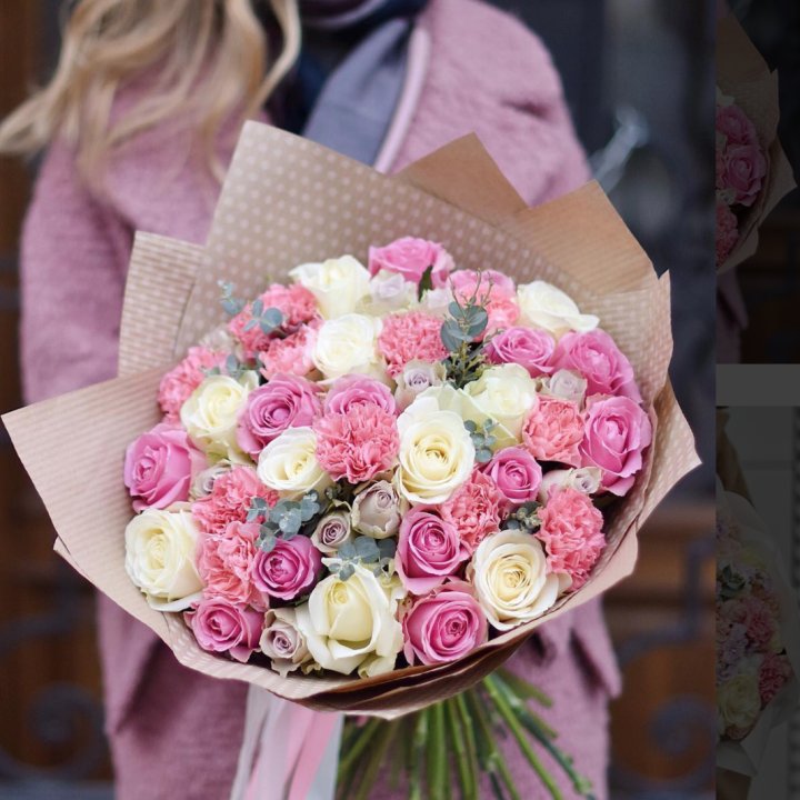 Фиона в Липецке