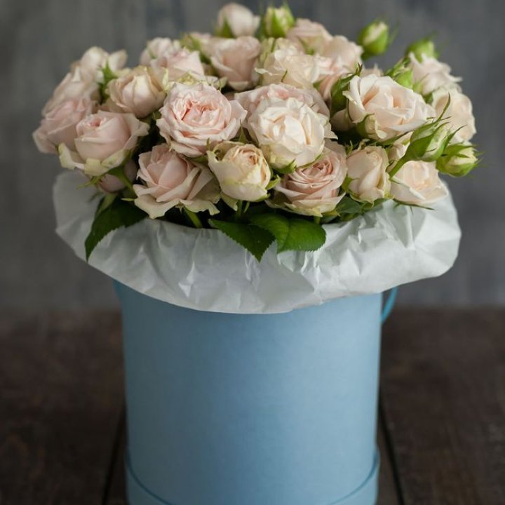 Бокс с бомбастиком в Липецке