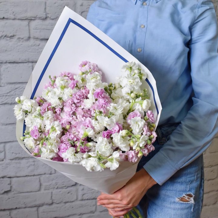 Маттиола в Липецке