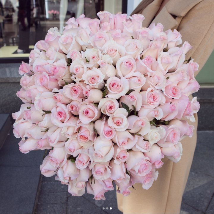 Розы "Пинк бум" в Липецке