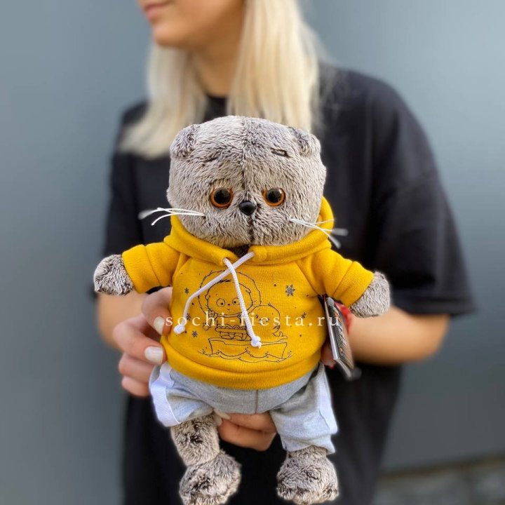 Кот Басик в худи в Липецке