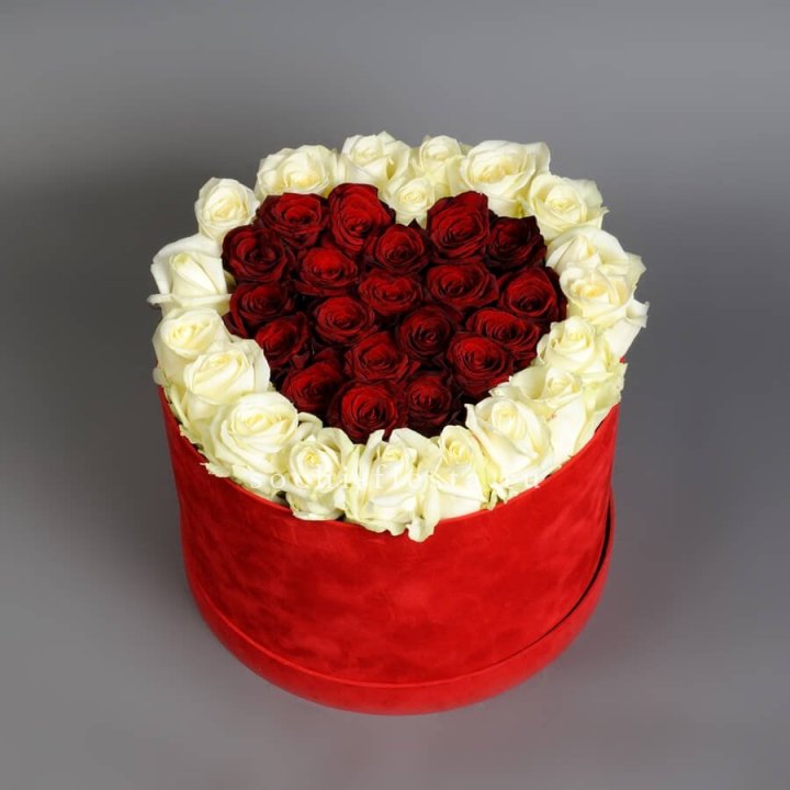 39 красных и белых роз в цилиндре в Липецке