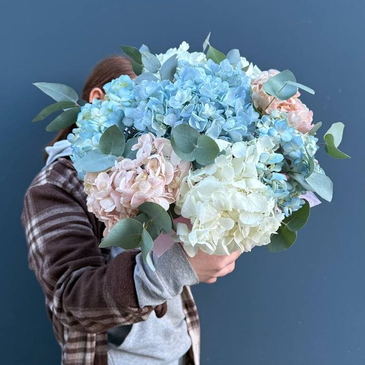 Гортензии в коробочке в Липецке