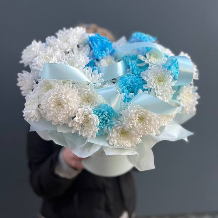 Хризнтемы в боксе в Липецке