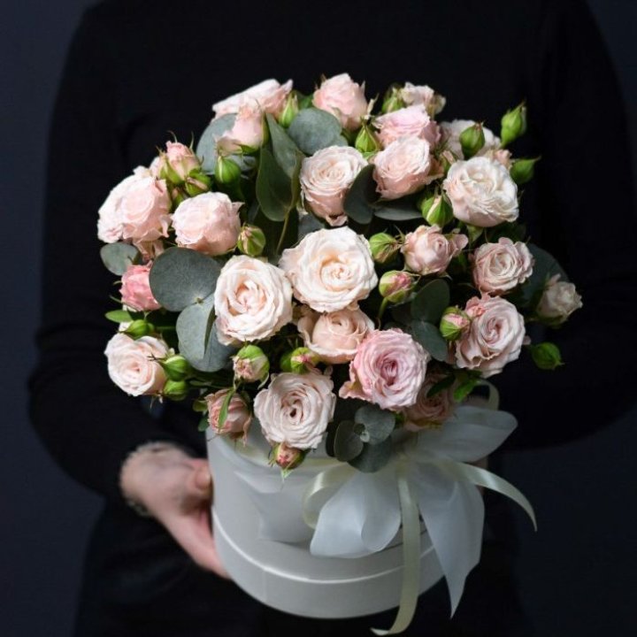 Бомбастик бокс №2 в Липецке