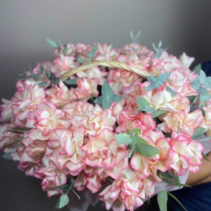 51 джумилия  в корзине   в Липецке