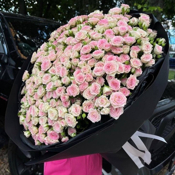 101 кустовая роза "Твистер" в Липецке