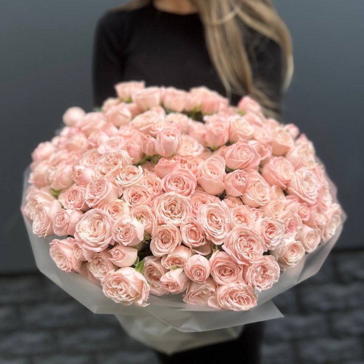 51 кустовая роза Бомбастик в Липецке