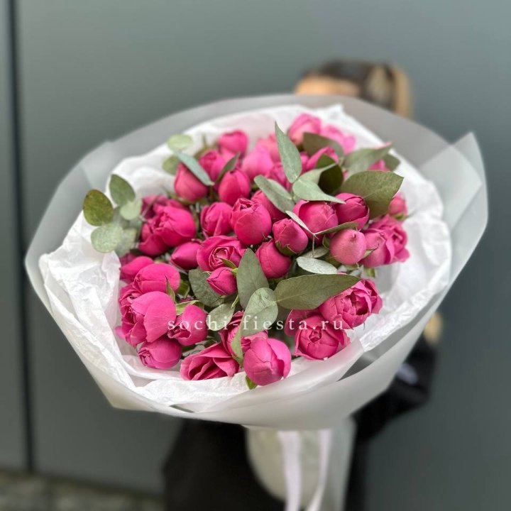 17 Мисти бабблс в Липецке