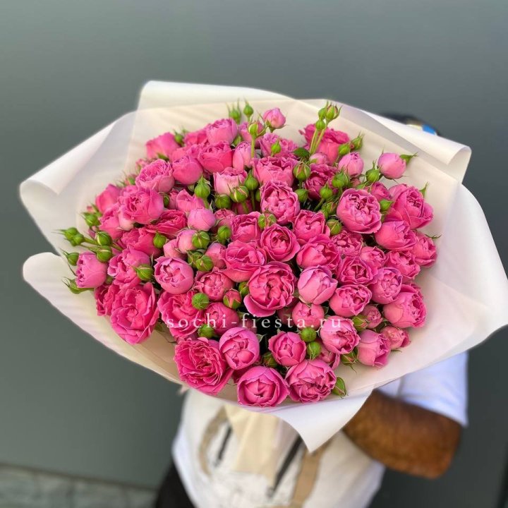 Мисти Баблс 35шт в Липецке