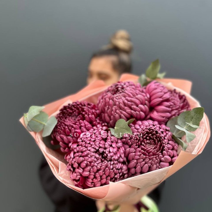 Хризантемы  Бигуди  в Липецке