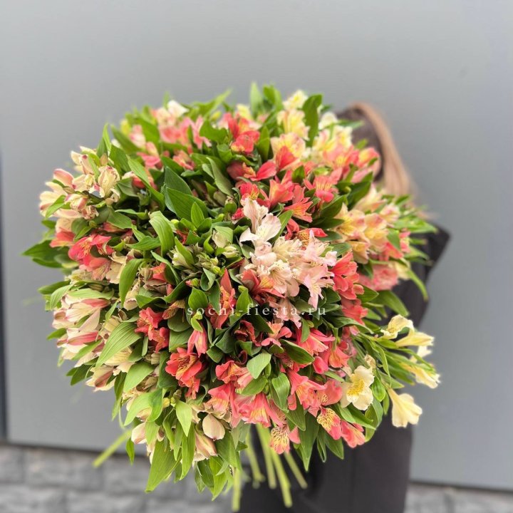 51 альстромерия в Липецке