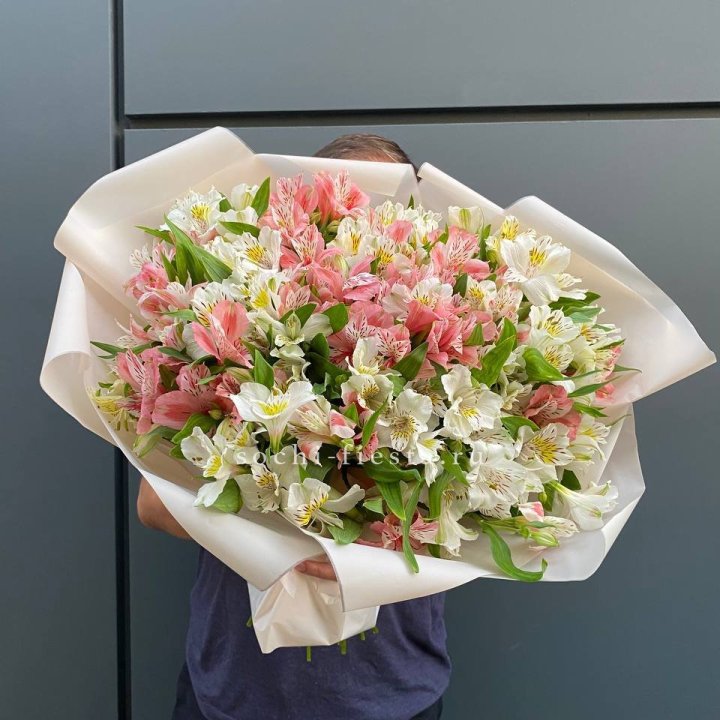 39 альстромерий в Липецке