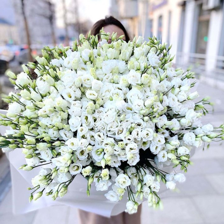 101 белая эустома в Липецке