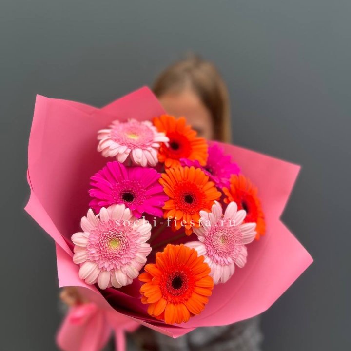 Краски в Липецке