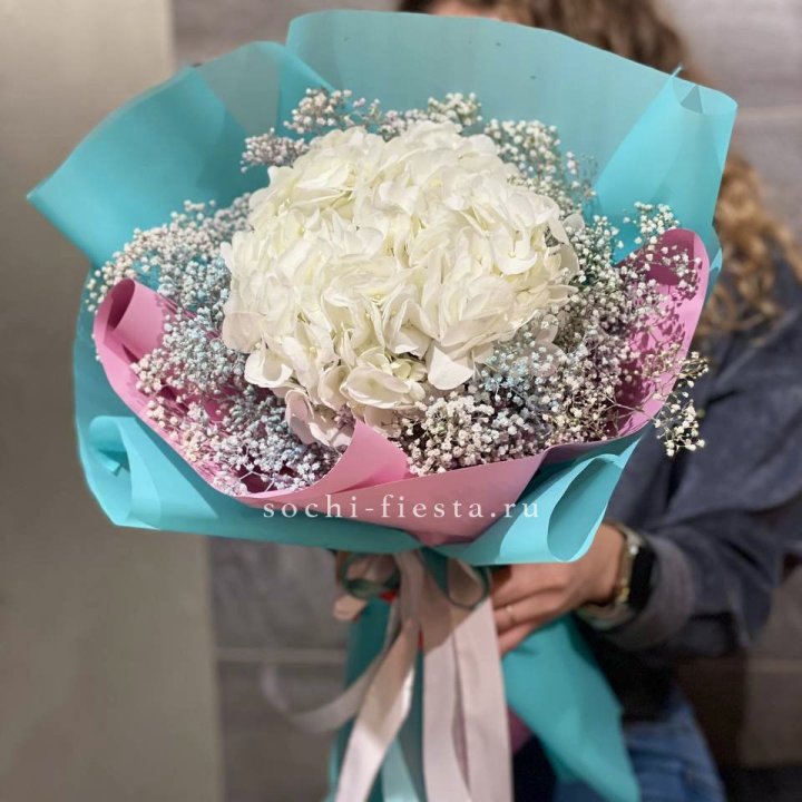 Гортензия "Райдов" в Липецке