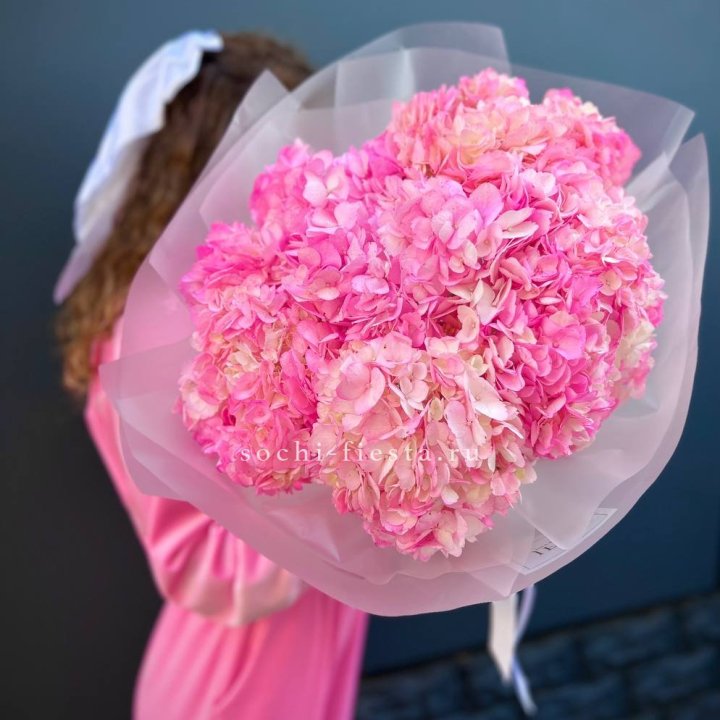 7 ярко розовых гортензий в Липецке