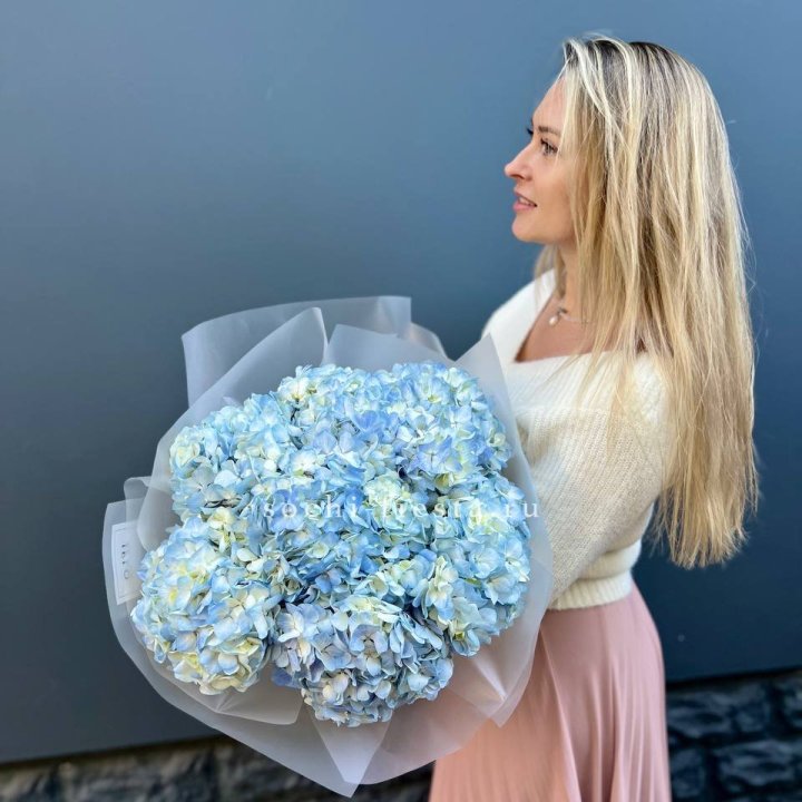 7 голубых гортензий в Липецке