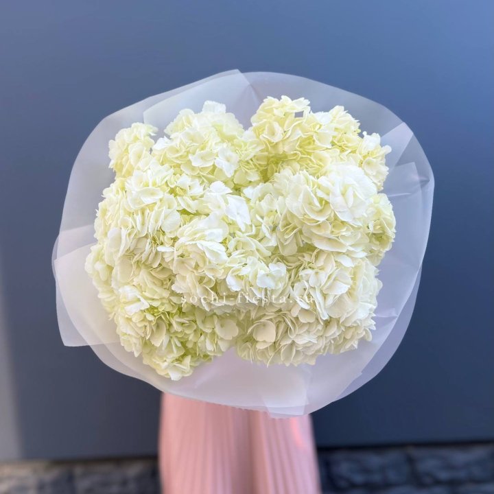 7 белых гортензий в Липецке