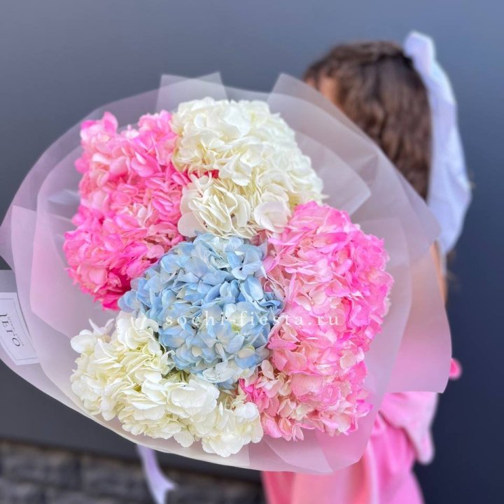 7 гортензий микс в Липецке