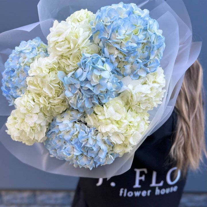 9 бело-голубых гортензий в Липецке