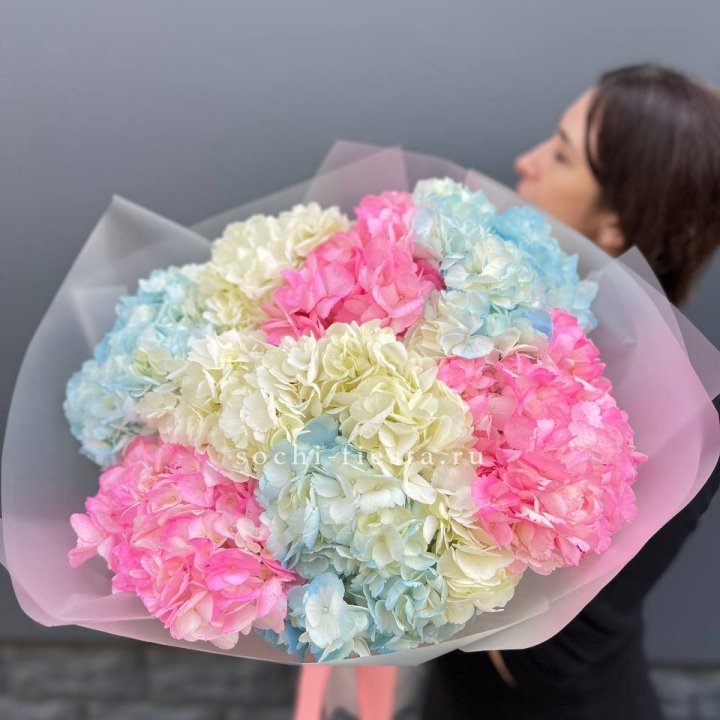 9 гортензий микс в Липецке