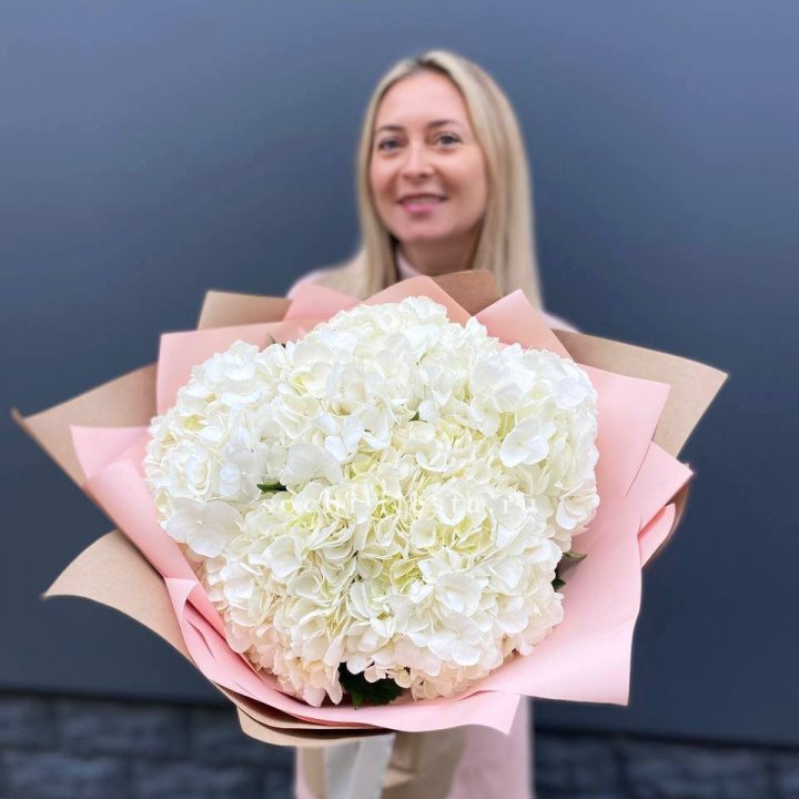 Гортензия белая в Липецке