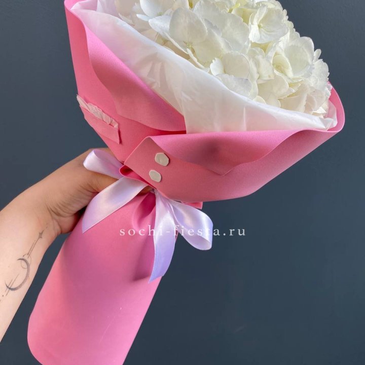 Гортензия в розовом пиджаке в Липецке