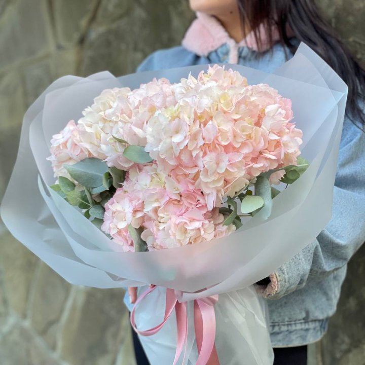 5 розовых гортензий в Липецке