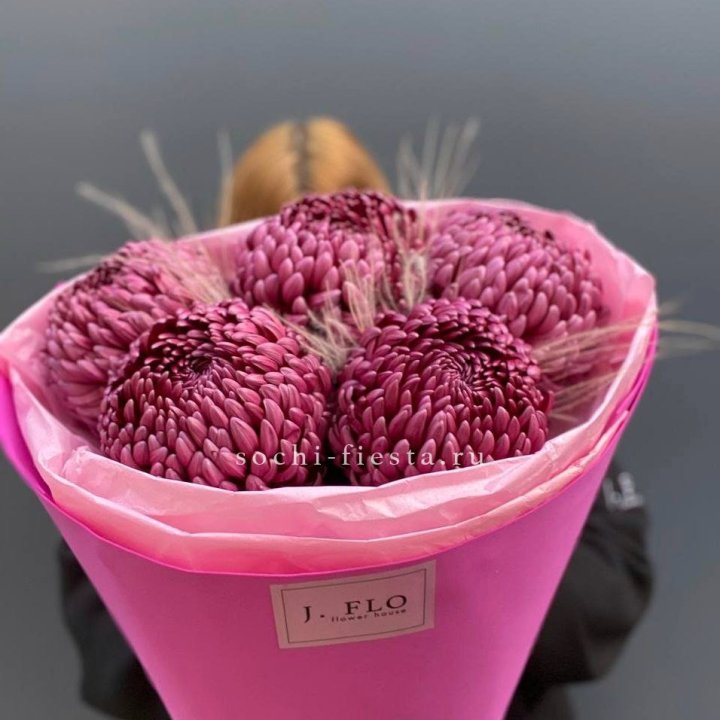 Хризантемы  Бигуди с стифой в Липецке