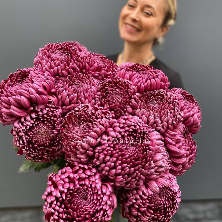 Охапка хризантем Бигуди в Липецке