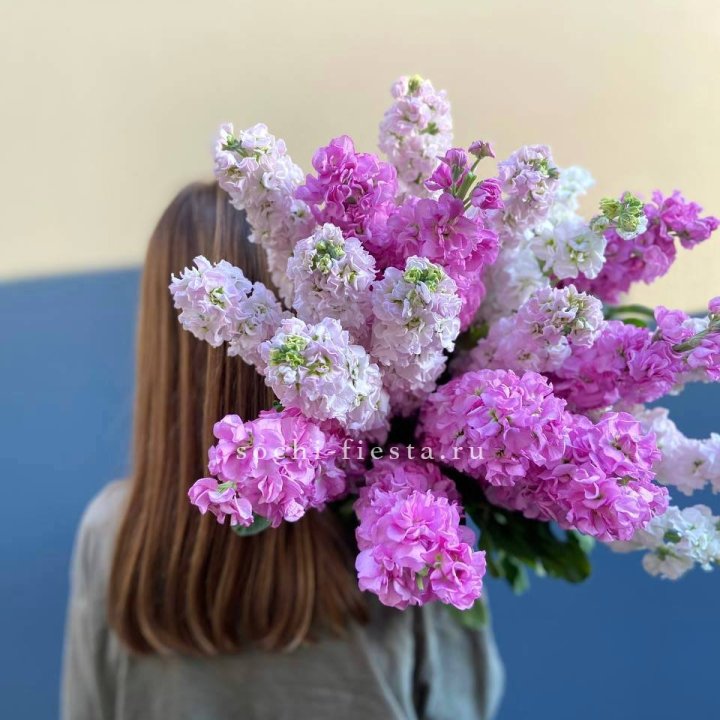 Охапка маттиолы в Липецке