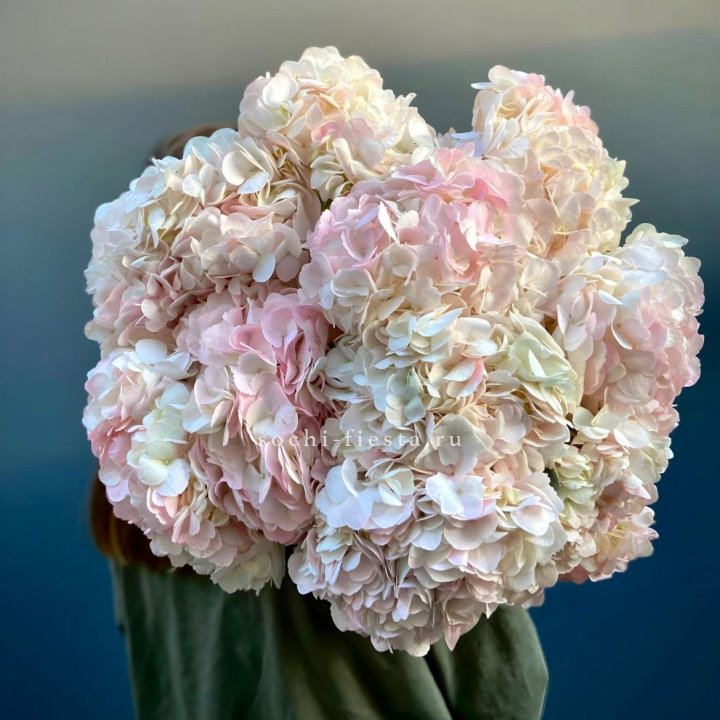 Охапка розовой гортензии в Липецке