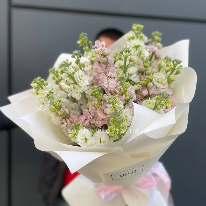 29 маттиол  в Липецке