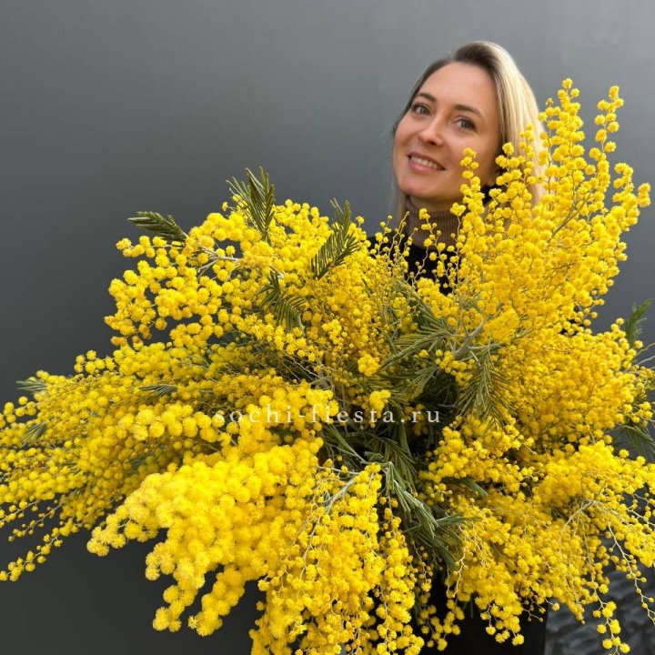 Охапка мимозы №2 в Липецке