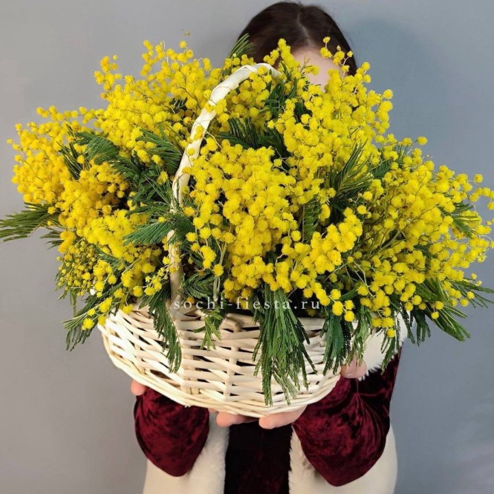 Корзина ароматной мимозы в Липецке