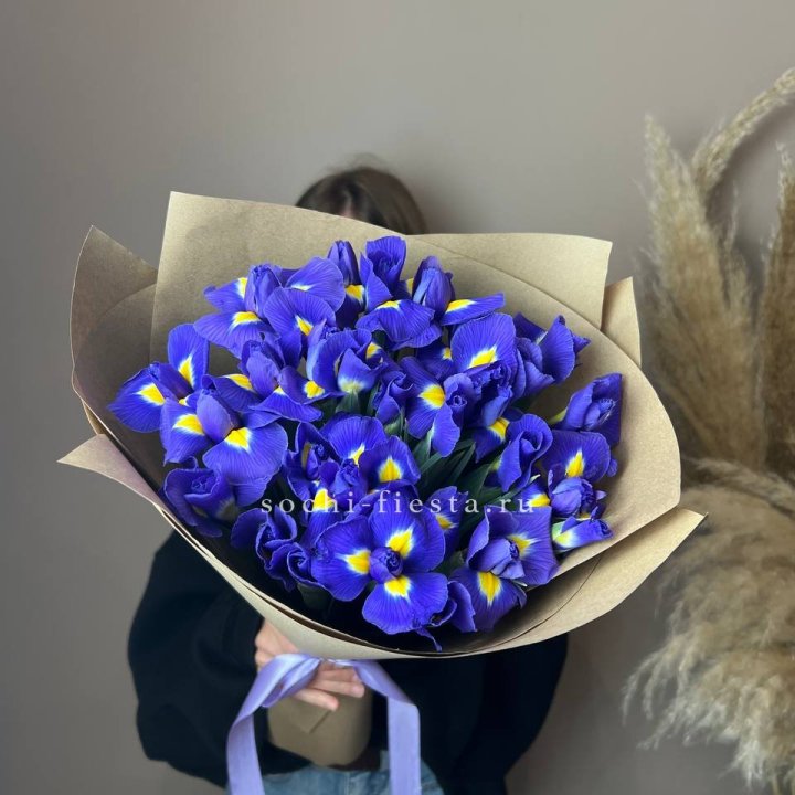 Ирисы в Липецке