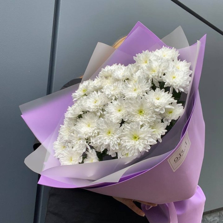  7 хризантем  в Липецке