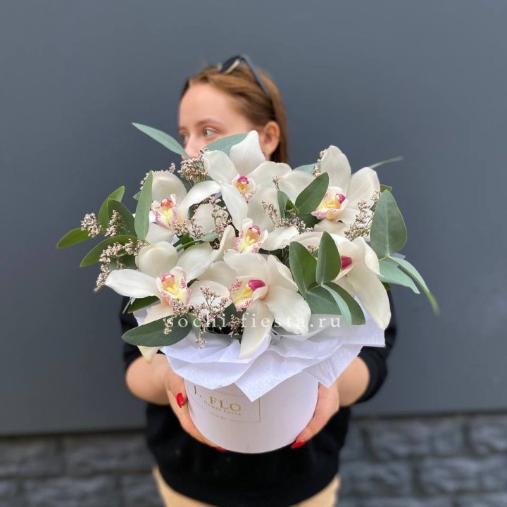 7 орхидей в боксе в Липецке