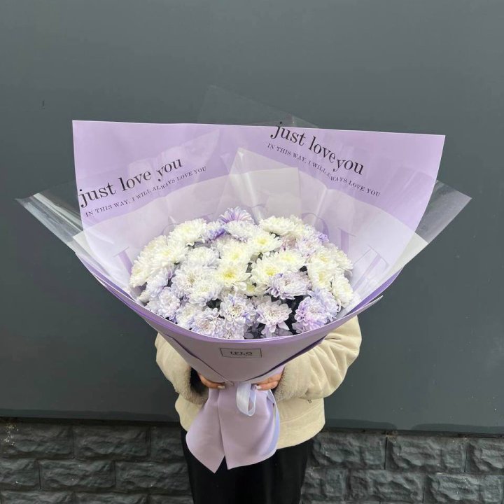 9 воздушных хризантем в Липецке