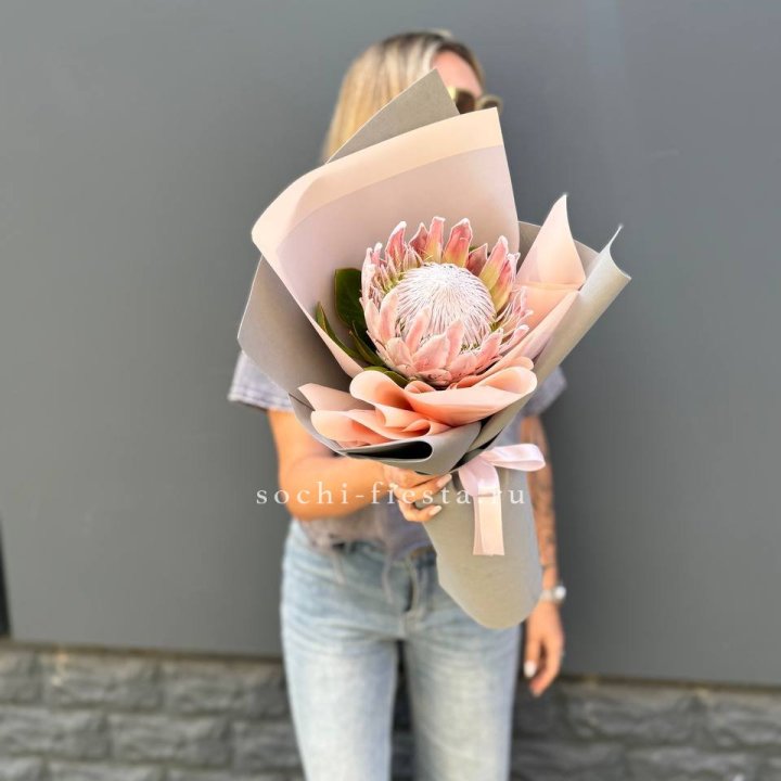 Протея мини  в Липецке