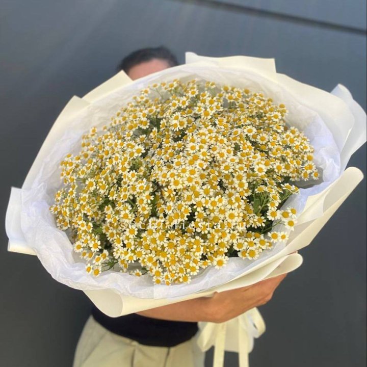 Букет ромашек №2 в Липецке