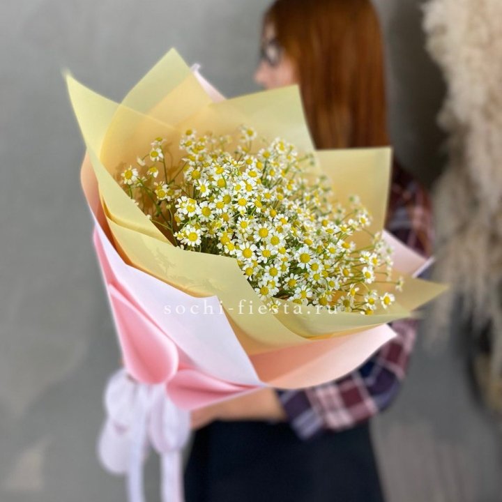 Букет ромашек №3 в Липецке