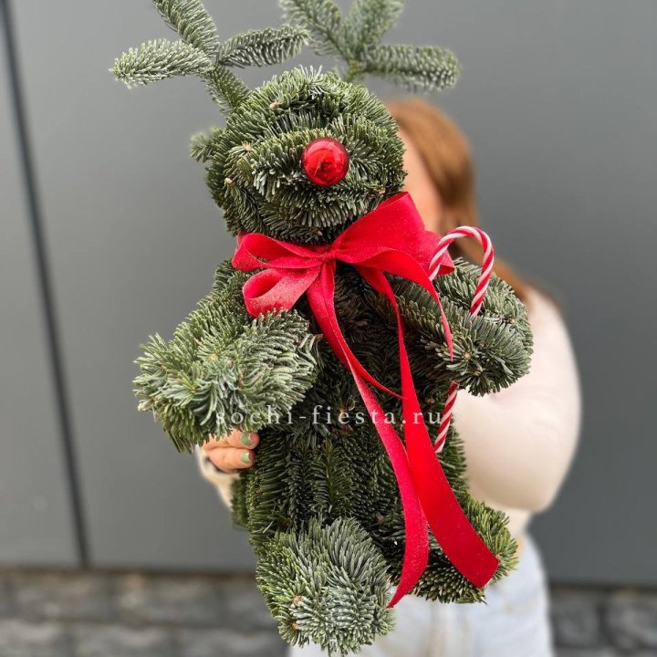 "Олень" из нобилиса в Липецке