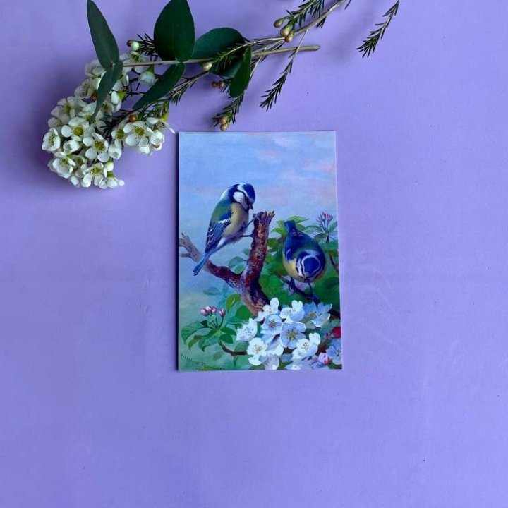 Открытка к букету "Птицы" в Липецке