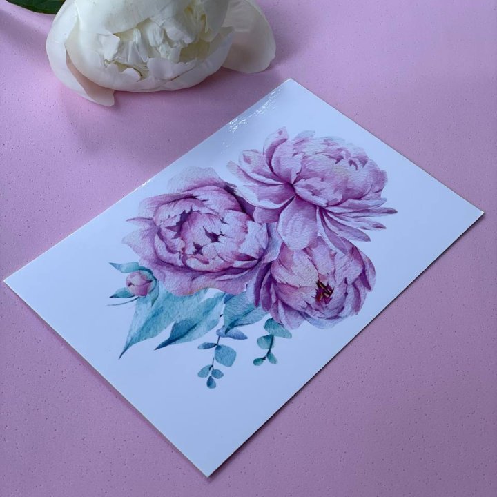 Открытка к букету "Пионы" в Липецке