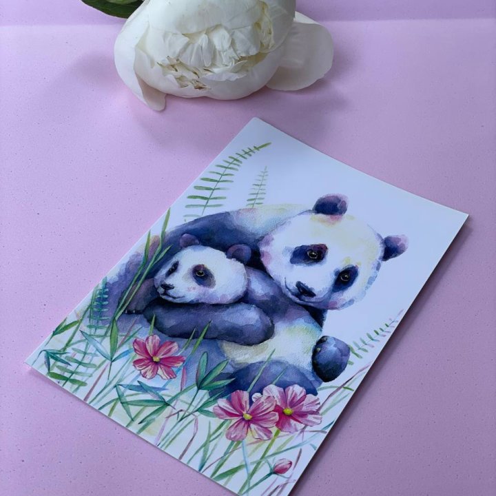 Открытка к букету "Объятие Панды" в Липецке