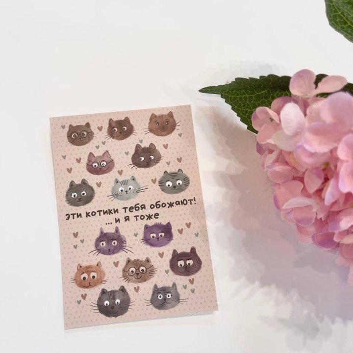 Открытка к букету "Котики" в Липецке