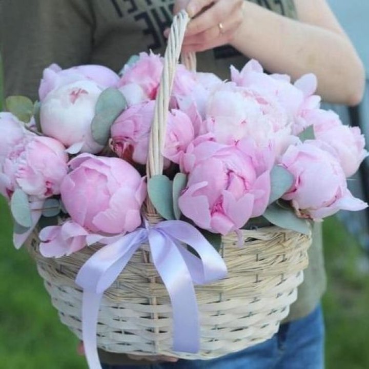 15 пионов в корзине в Липецке