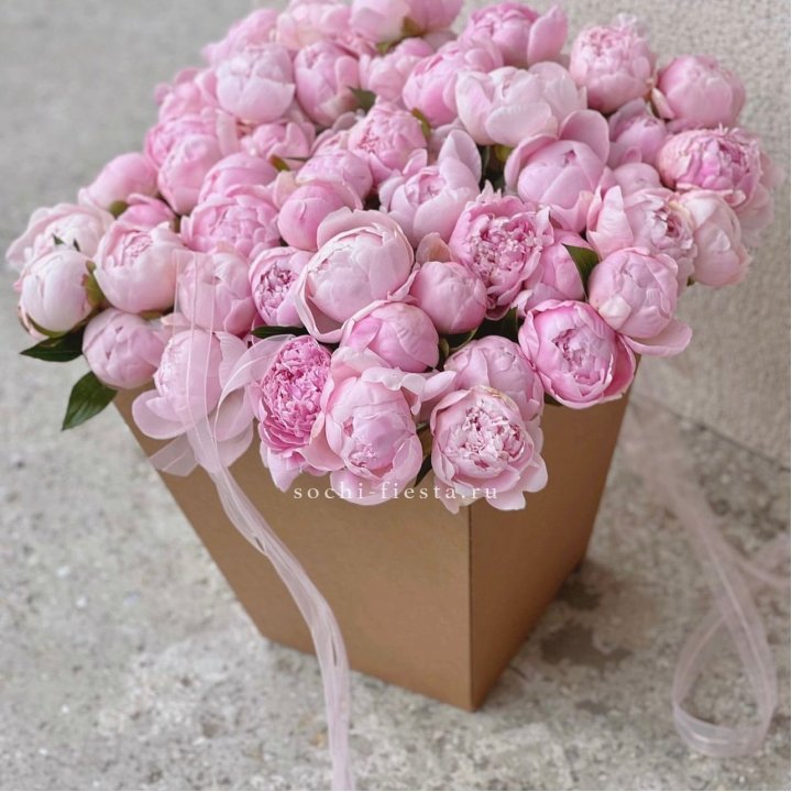 49 пионов в крафт коробке в Липецке